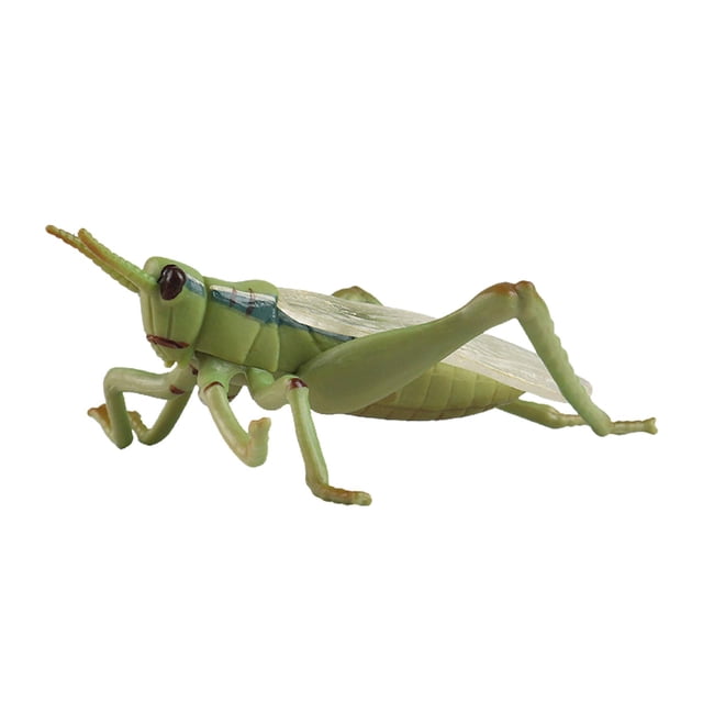 Animal Model Statues for Goodie Bag Stuffers Cupcake Toppers Home Decoration grasshopper