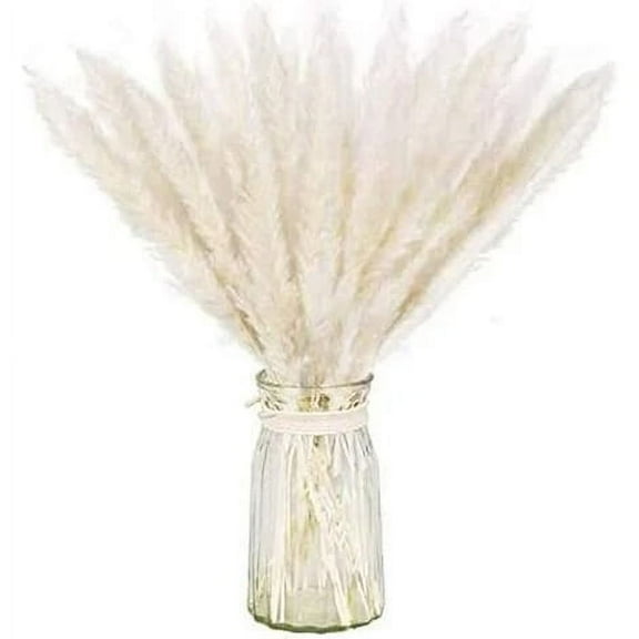 Natural Dried Pampas Grass Bundle For Home Decor 15Pcs (White)
