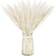 natural natural herbs from pampas for interior decoration 15pcs white