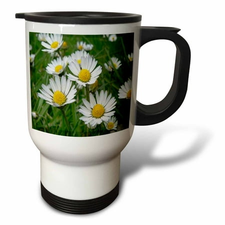 

Daisy 14oz Stainless Steel Travel Mug tm-3136-1