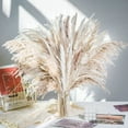thumbnail image 2 of 30pcs Dried Flowers Pampas Grass Flores Artificial Flowers Fake Wedding Decoration Fleurs Artificielles Christmas Home Decor (D white,30pcs), 2 of 7