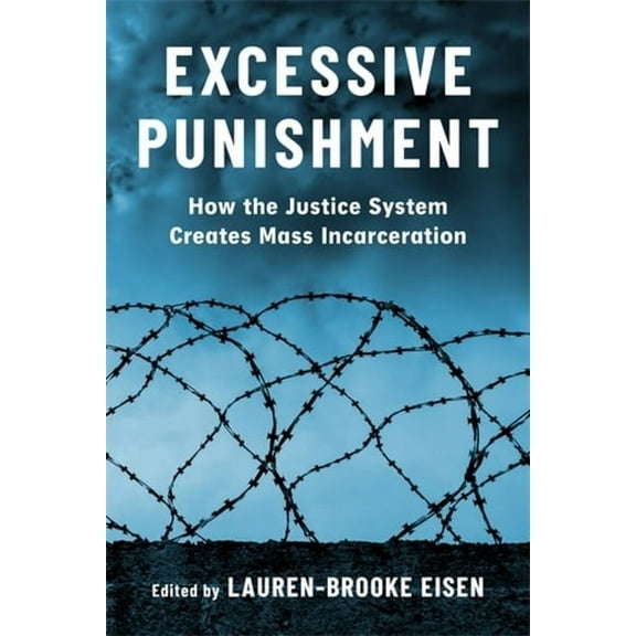 Excessive Punishment: How the Justice System Creates Mass Incarceration, (Hardcover)