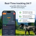 thumbnail image 3 of Petloc8 GPS Pet Tracker for Dogs – Collar Fit, Long Battery, Water-Resistant, Geofencing, Location History (Subscription Required), 3 of 8