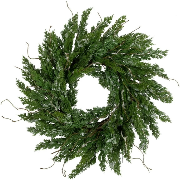 Northlight Plastic Unlit Wreath, 24" (Green)