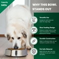 thumbnail image 3 of Iconic Pet 2-Pack Anti Ant Stainless Steel Non Skid Pet Bowl For Dog or Cat, 64 Oz, 8 Cup, 3 of 10