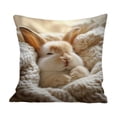 thumbnail image 3 of Pillow Covers 18x18, Easter Decorations Cute Bunny Printed Throw Pillow Covers, Home Spring Decor for Bedroom Couch Cushion Cover, Multicolor, 3 of 7