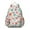 Pioneer Flower, variant on Pioneer Flower Backpack for School,Cute School Bag,Schoolbag with Adjustable Shoulder Straps & Padded Back,13.4"x11"x4.7"