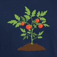 thumbnail image 3 of CafePress - Tomato Plant T Shirt - Men's Classic Graphic Cotton T-Shirt, 3 of 4
