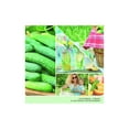 thumbnail image 3 of Yankee Candle Cucumber Mint Cooler 6-pc Fragranced Wax Melts 2.6 Oz (Pack Of 3), 3 of 6