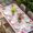 Pink, variant on Easter Eggs Table Cloths for 6 Foot Rectangle Tables, Spring Floral Berry Leaves Botanical Black Plaid Patio Waterproof Elastic Fitted Tablecloths, Washable Rectangular Table Cover for Camping