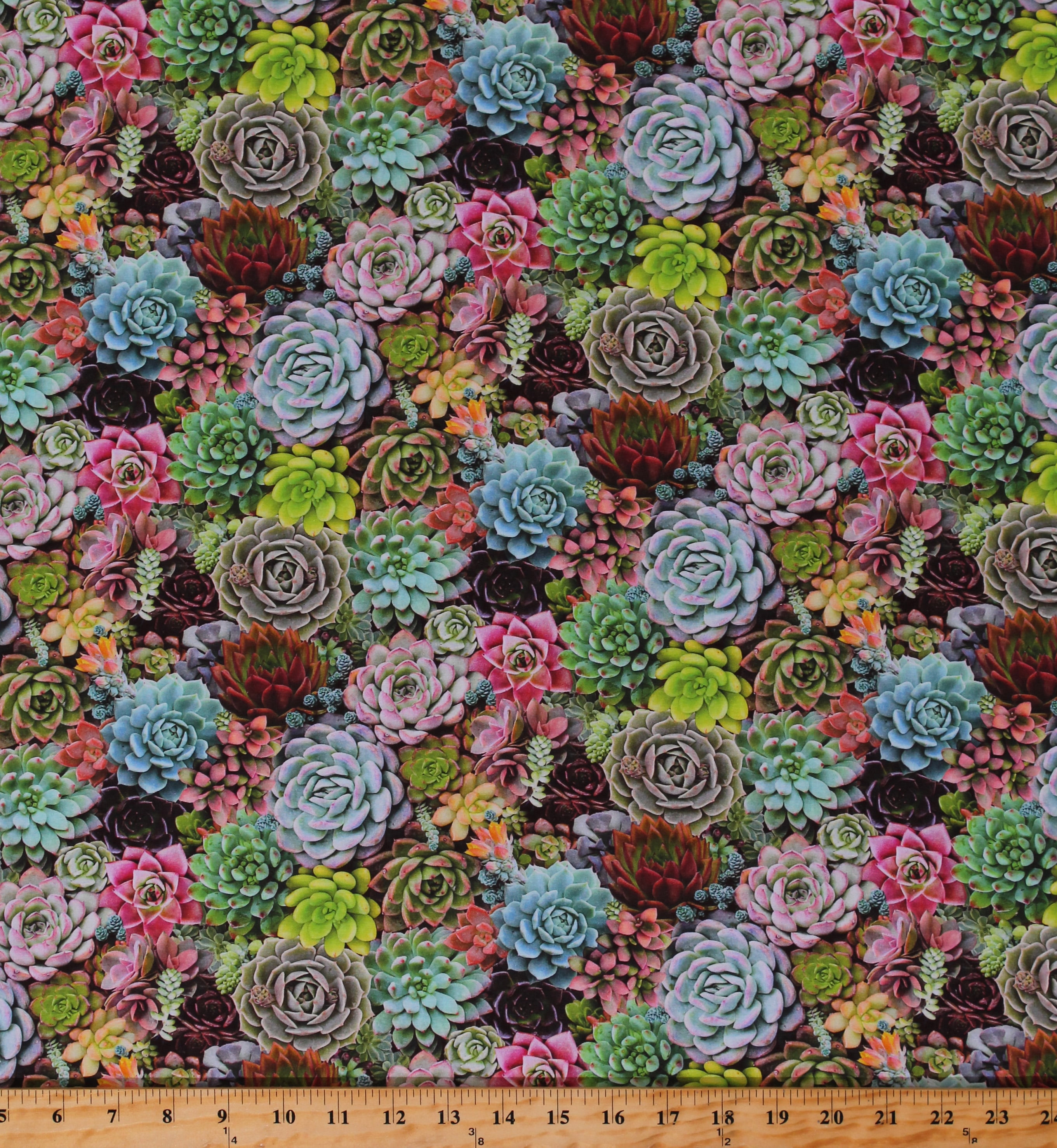 Petit Cactus 100% Cotton fabric BY THE YARD Green cacti plant Digital JC6/24 