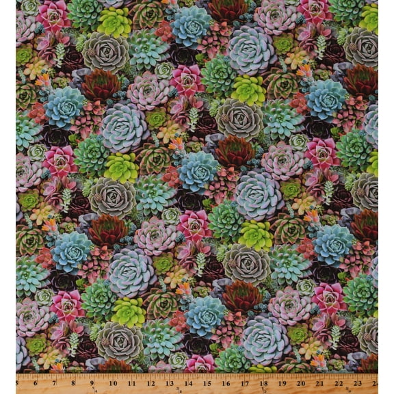 Cotton Succulents Plants Cactus Cacti Botanical Landscape Succulent Charm Cotton Fabric Print by the Yard (598MULTI)