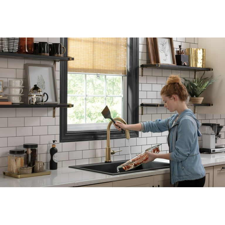 Delta Trinsic Single Handle Pull-Down Sprayer Kitchen Sink