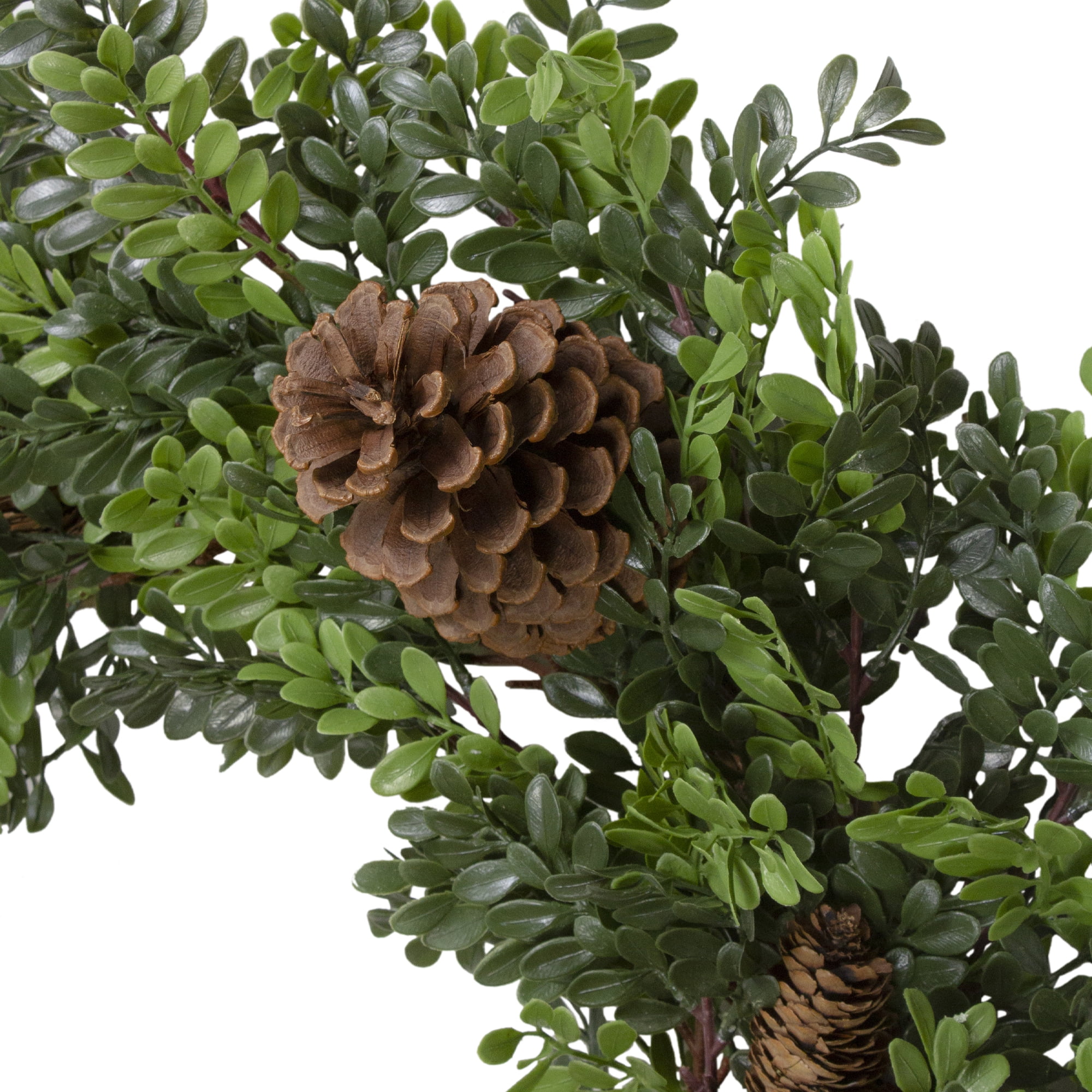 Northlight Boxwood and Pine Cone Artificial Christmas Wreath - 27" - Unlit
