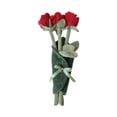 thumbnail image 4 of Lindo muñeco de peluche de flores, suave, lindo, divertido y creativo ramo de tela, encantador para mujeres Rojo, 4 of 9