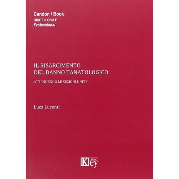 Luca Lucenti Il risarcimento del danno tanatologico. Attendendo le sezioni unite (Paperback)