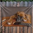 thumbnail image 3 of Boxer Puppy Dog Sleeping on Guitar Home Business Office Sign, 3 of 4