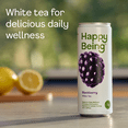 thumbnail image 2 of Happy Being Blackberry White Tea – Antioxidant & Polyphenol Rich, Infused with Turmeric, Elderberry, Caffeine Free, Plant-Based, Low Sugar & Low Calorie Drinks, 12oz (4 Pack), 2 of 10