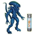 thumbnail image 2 of Lanard 7" Alien Figure - Xenomorph Warrior, 2 of 2