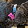 thumbnail image 4 of Personalized Silicone Dog Tags and Cat Tags, Double Sided Engraved with Your Text, Custom Silent Pet ID Pendant, Multi Colors, 4 of 9