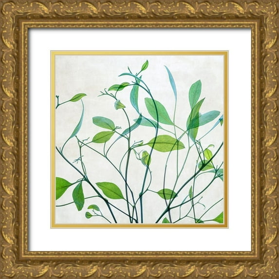 Poinski, Dianne 20x20 Gold Ornate Wood Framed with Double Matting Museum Art Print Titled - Rendezvous II