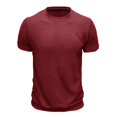 thumbnail image 6 of Men’s Short Sleeve Round Neck Solid Color Knitted Pullover T-Shirt Spring Summer Top, 6 of 8