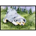 thumbnail image 1 of Carolines Treasures SS8015MAT Tapis Intérieur Extérieur 18 x 27 Po. Australian Shepherd, 1 of 4