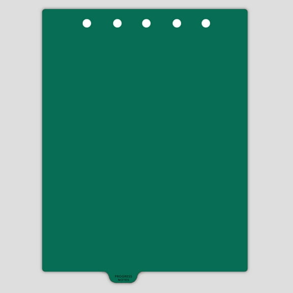 Carstens - Heavy Duty Progress Notes Plastic Ring Binder Dividers, Bottom Tab, 1/9 Cut, Tab 4 Position, US Letter, Pack of 10, (2617-04) - Ideal Medical Chart Dividers for 3 Ring Binders
