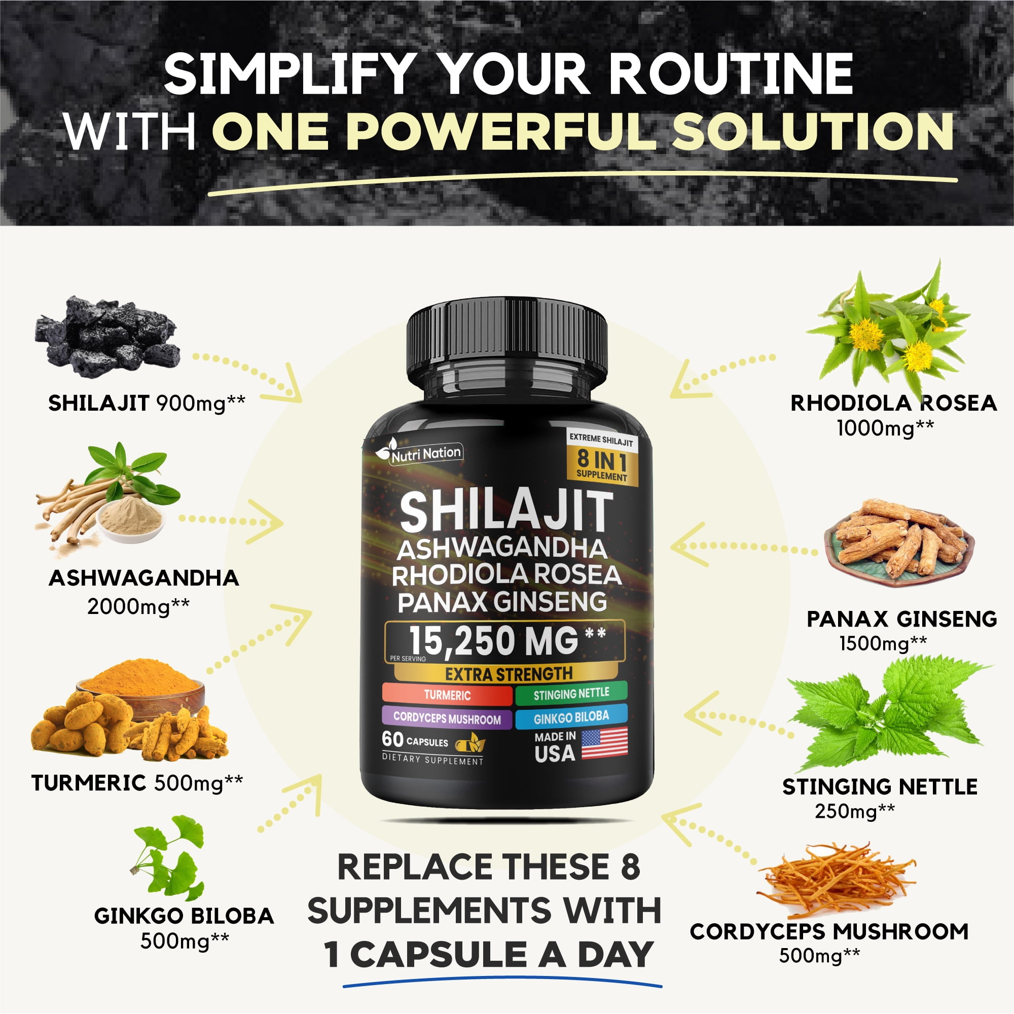 Nutri Nation Shilajit Supplement with Ashwagandha, Rhodiola Rosea, Panax Ginseng, 60 Capsules