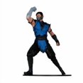 thumbnail image 2 of Sub-Zero (Mortal Kombat) 1:6 Scale Posed Figure - McFarlane Toys, 2 of 10