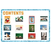 Workman Publishing Paint by Sticker Series, Cats