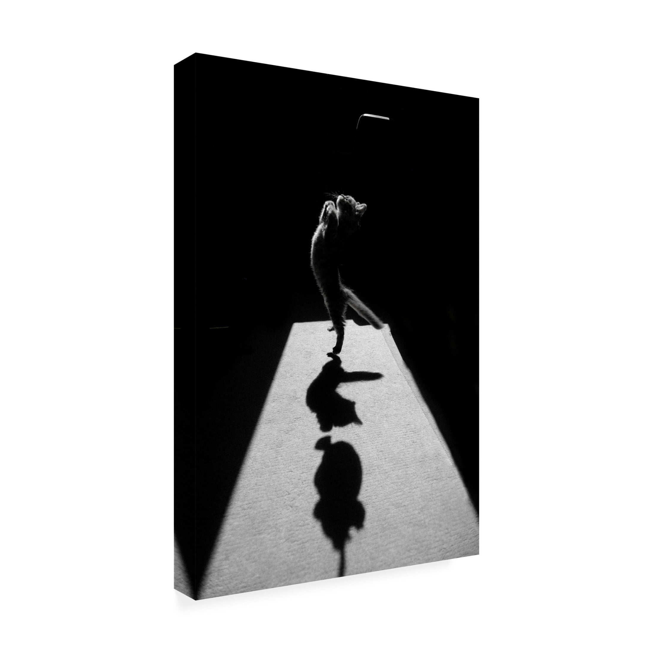 Canvas Wall Art - Jure Kravanja 'Edgar The Great Ii ' Wall Art for Living Room, Bedroom, or Office D?cor by Trademark Fine Art - 16 x 24 Inches