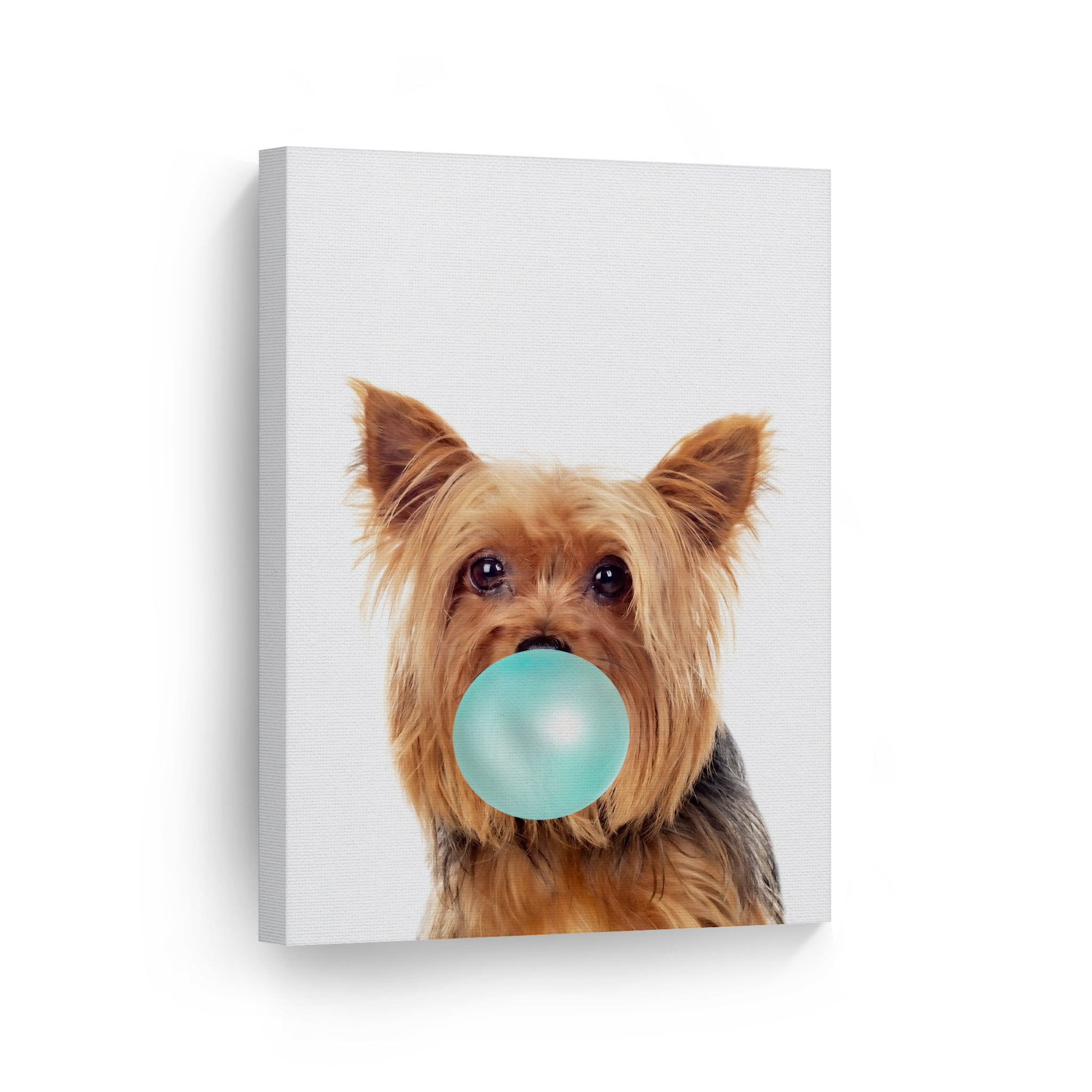 YORKSHIRE TERRIER 'YORKIE' DOG LOVER NOVELTY GIFT FOR YOUR CAR REAR WIPER 