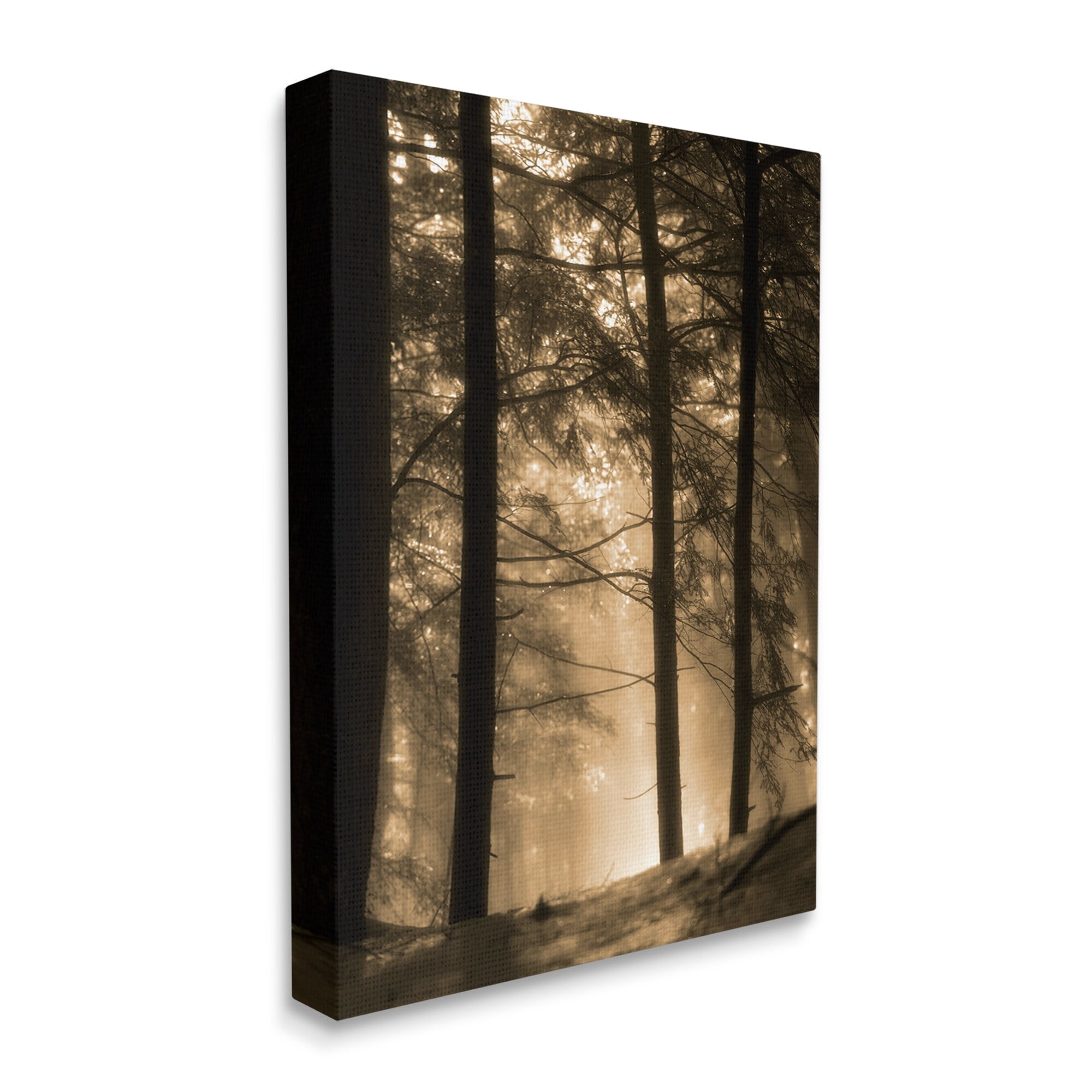 Stupell Industries Light Through Forest Tree Top Foggy Woodland Photography, 30 x 40,Design by Daniel Sproul