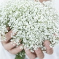 thumbnail image 4 of 10 PCS Real Touch White Babys Breath Artificial Flowers - Soft, Delicate, and Realistic for Wedding Bouquets, DIY Wreath, Floral Arrangement, Home Party Decoration, and Event Centerpieces, 4 of 9