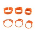 thumbnail image 3 of 50pcs Chicken Foot Ring Adjustable Size Poultry Leg Digital Label Buckle Ring 6 _jiue, 3 of 5