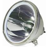 zenith ru-44sz51d,ru-44sz61d,ru-44sz63d,ru-52sz51d,ru-52sz61d,z52sz80 compatible lamp with bulb only