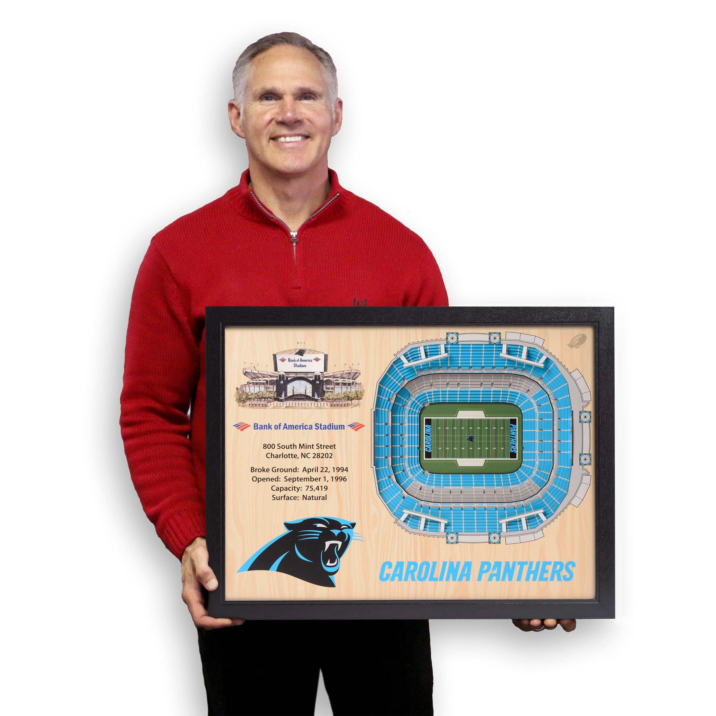 YouTheFan NFL Carolina Panthers 25-layer Stadiumview Wall Art