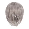 thumbnail image 1 of Peluca de cosplay peluca de disfraz corta práctica completa para fiesta de disfraces de club masculino jinwen Gris, 1 of 8