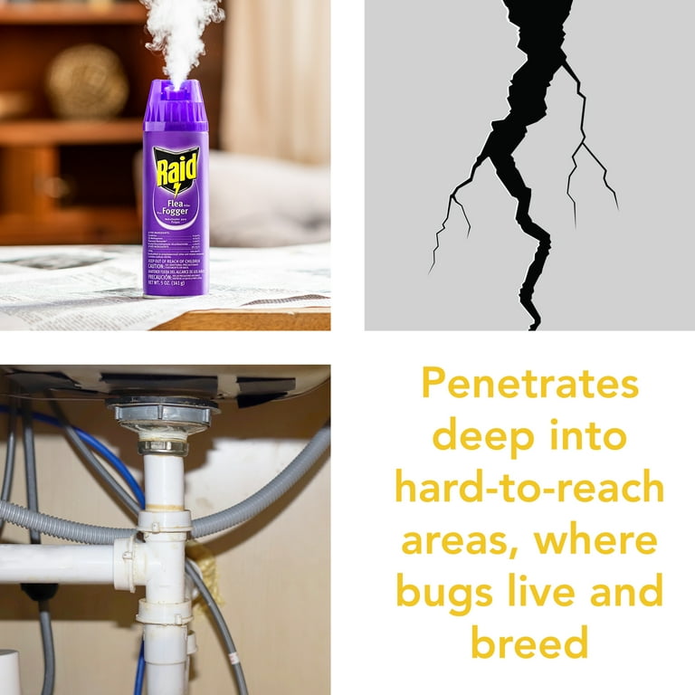 Raid Flea Killer Plus Fogger, Room Treatment Flea Bomb, 47 OFF