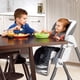 thumbnail image 4 of Silla Alta Polly 2 en 1 Chicco Nottingham color Gris, 4 of 7