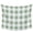 Green, variant on Blue Checkered Small Tapestry for Bedroom Wall Hanging Tapestry, Blue White Buffalo Plaid Ceiling Backdrop Tapestries Poster Blanket Wall Decor for Teens Room Living Room Dorm 23" x 28"