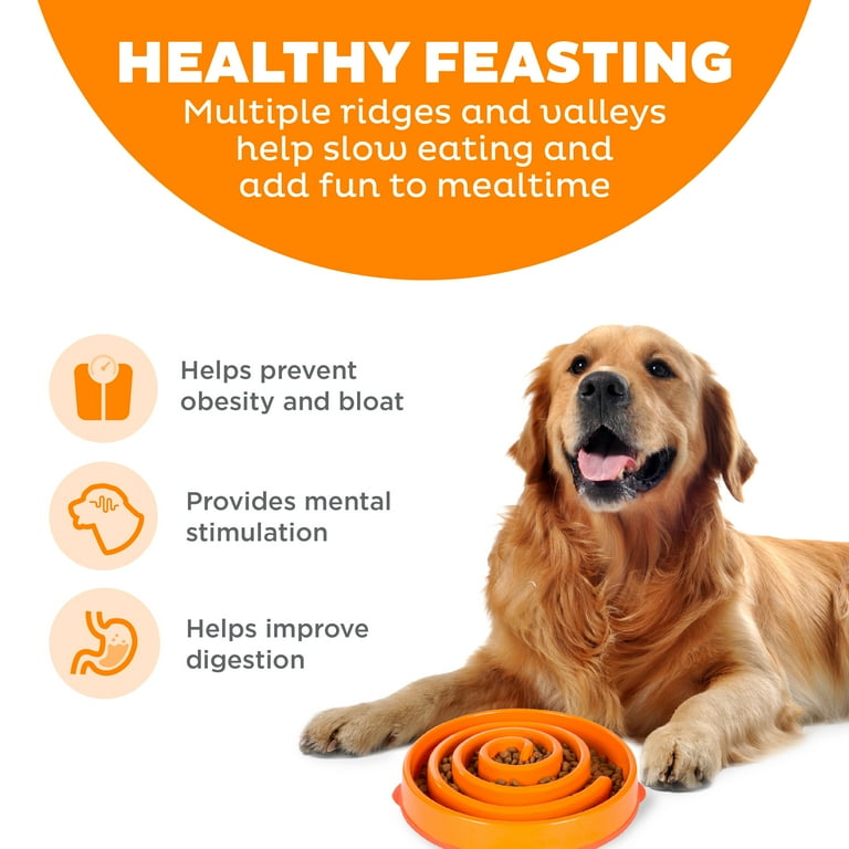 Outward Hound Fun Feeder Slo Bowl, Large, 4-Cup, Orange Swirl photo 2