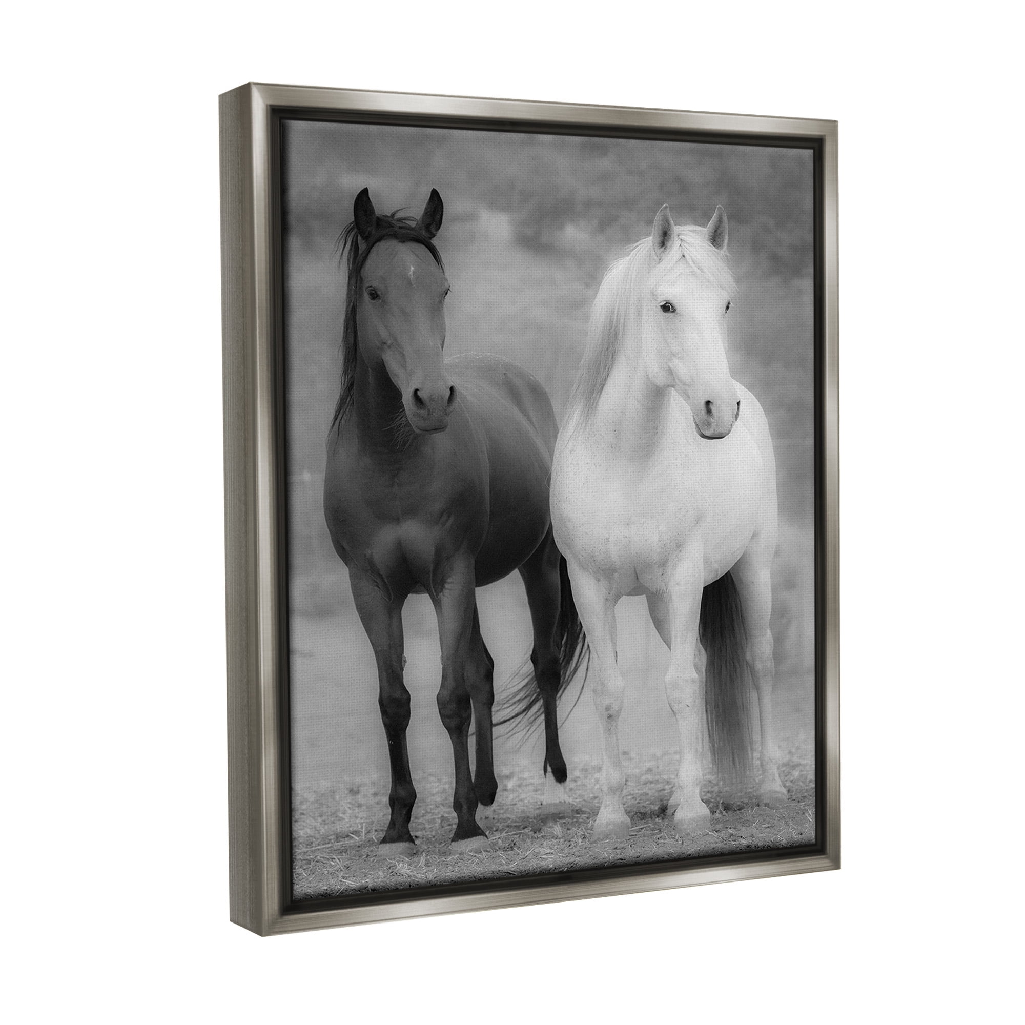 Stupell Industries White & Black Horses Animals & Insects Photography Gray Floater Framed Canvas Art Print Wall Art, 17 x 21