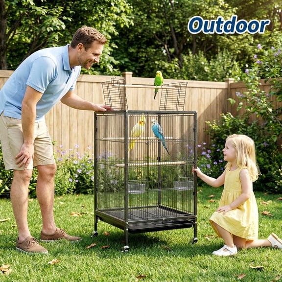 Heavy Duty Metal Bird Cage with Open Play Top - Spacious 38'' Flight Cage - Rolling Stand - Easy Assembly & Cleaning - Perfect for Parakeets, Cockatiels, Canaries, Conures, Lovebirds, Budgies