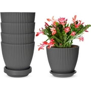 5 Plant Pots, 6 inch Plastic Planters with Saucers Modern Decorative Gardening Containers for Succulents Flowers Herbs Cactus House decor, Grey