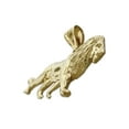 thumbnail image 4 of 14K Gold 38MM Lion Pendant, 4 of 5