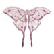 thumbnail image 4 of Elegante disfraz de alas de hada para fiesta de Halloween, carnaval, ángel, mariposa, princesa Rosa, 4 of 9