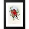 thumbnail image 2 of John Gould 11x14 Black Modern Framed Museum Art Print Titled - Hodgson's Trogon (1850-1883), 2 of 5