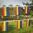 thumbnail image 5 of Anley Rainbow Flag LGBT Pride String Flag - Banners For Pansexuality, Bisexuality, Transgender and Gay Lesbian Pride, Bars Decoration - 26 Feet 32 Flags, 5 of 7